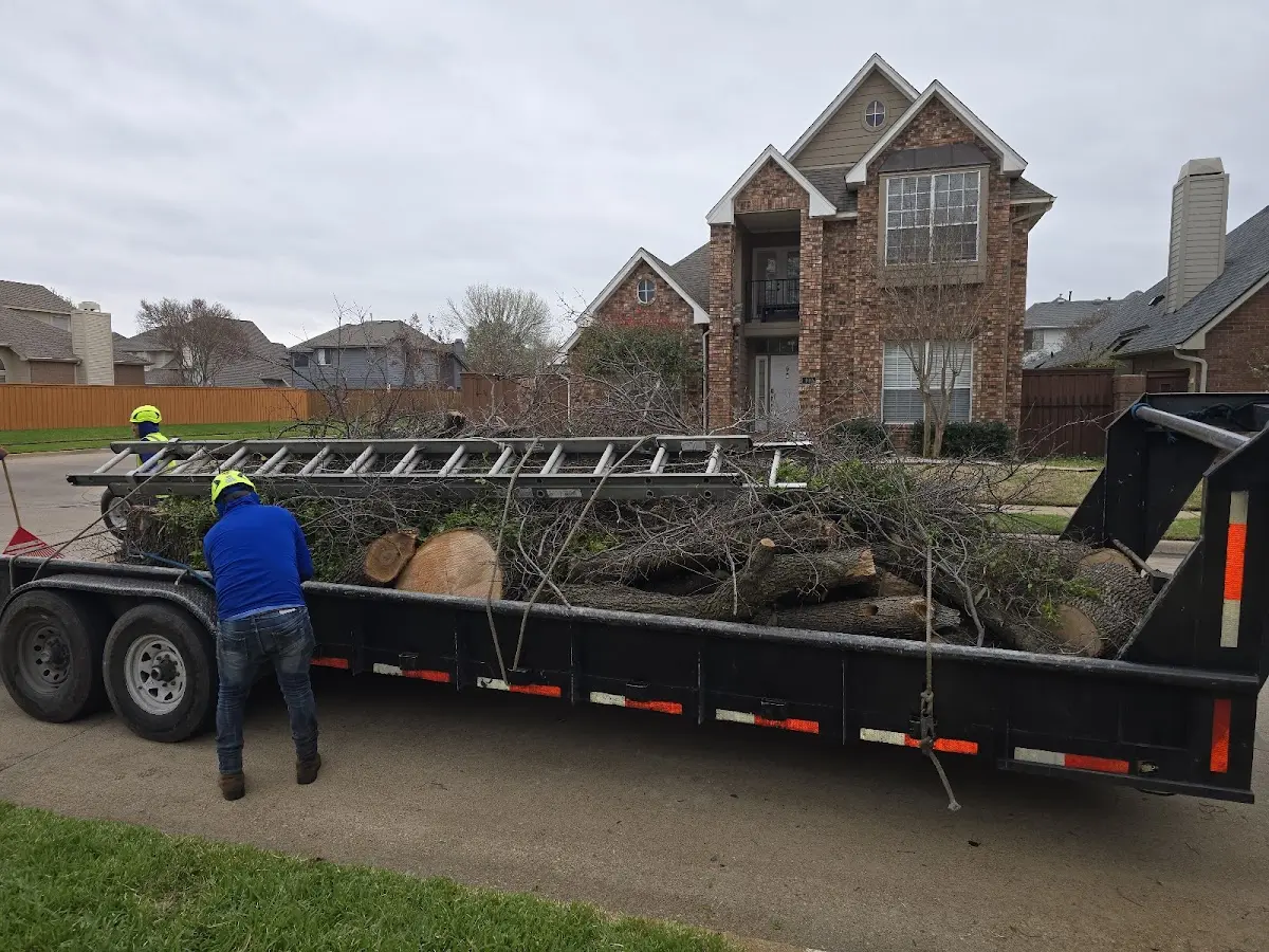 Expert Lot Clearing with proper safety equipment in Fairdale